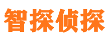 香河市私家侦探